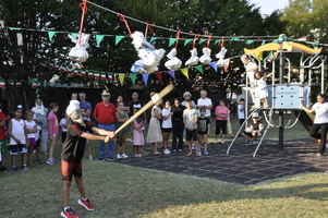 05.jpg