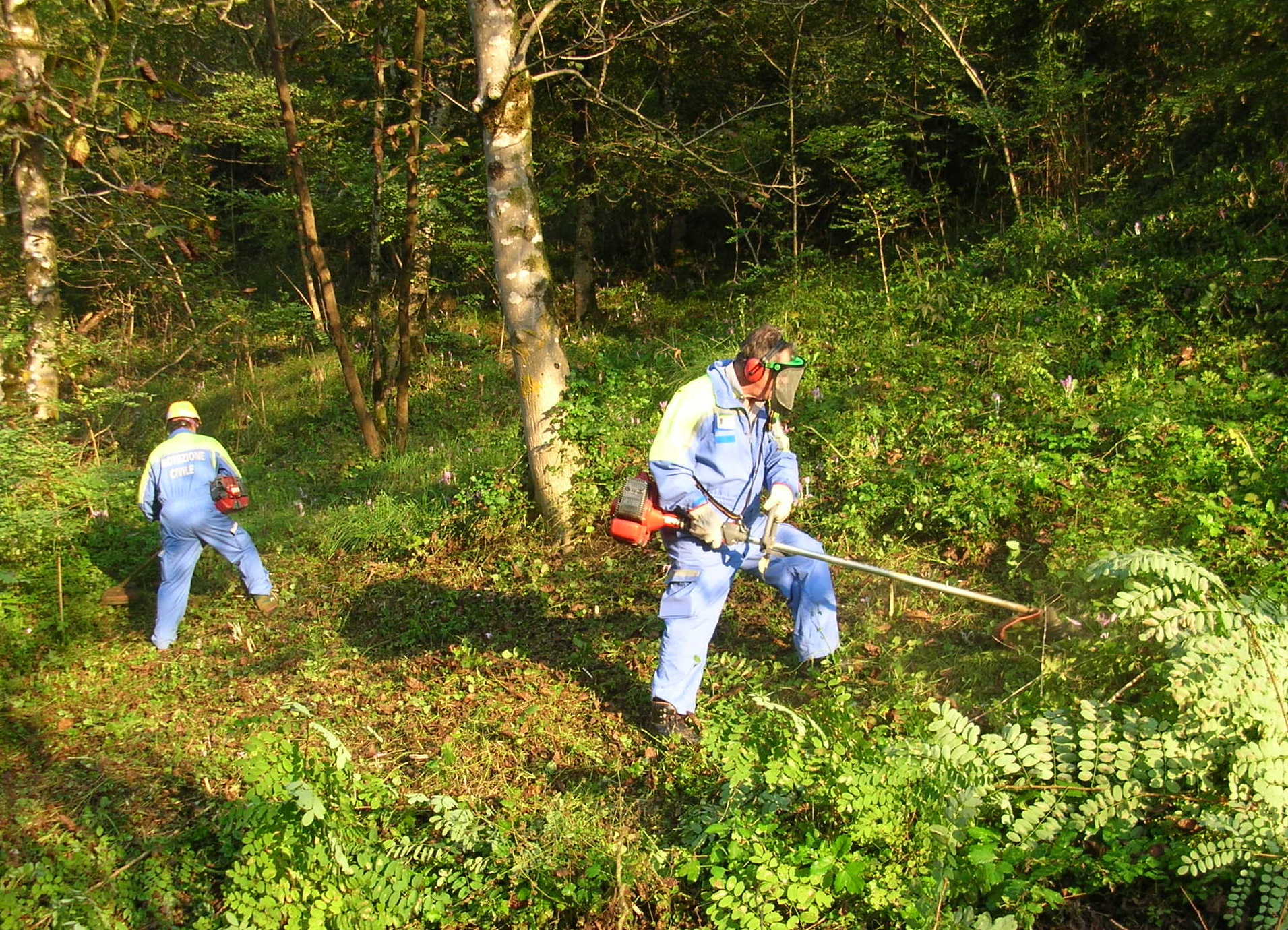 Foto 03.jpg