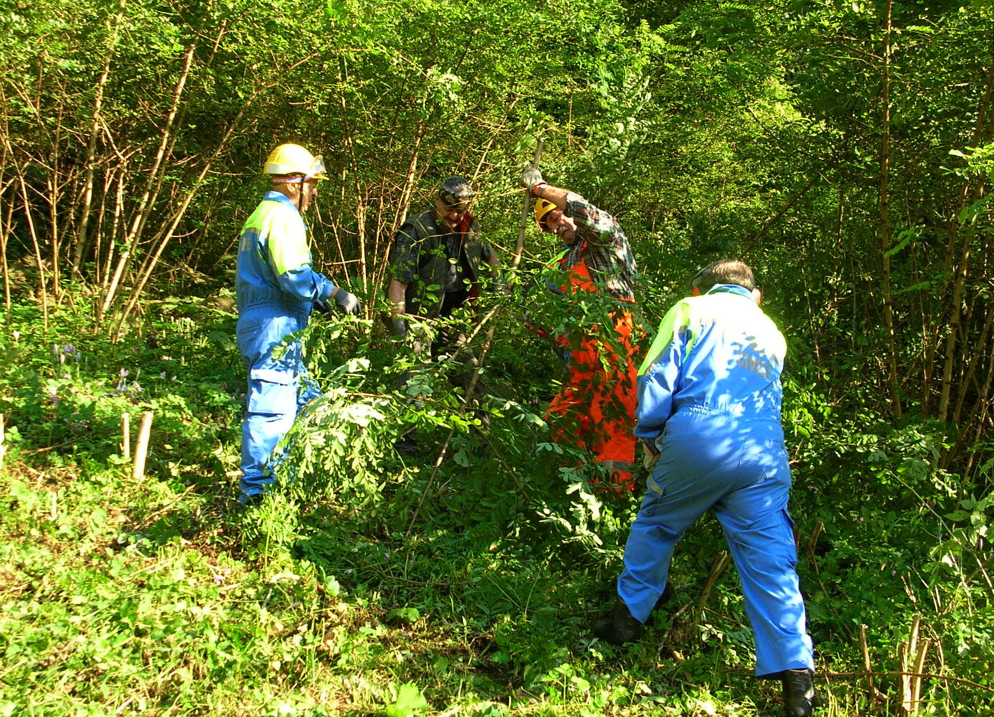 Foto 04.jpg