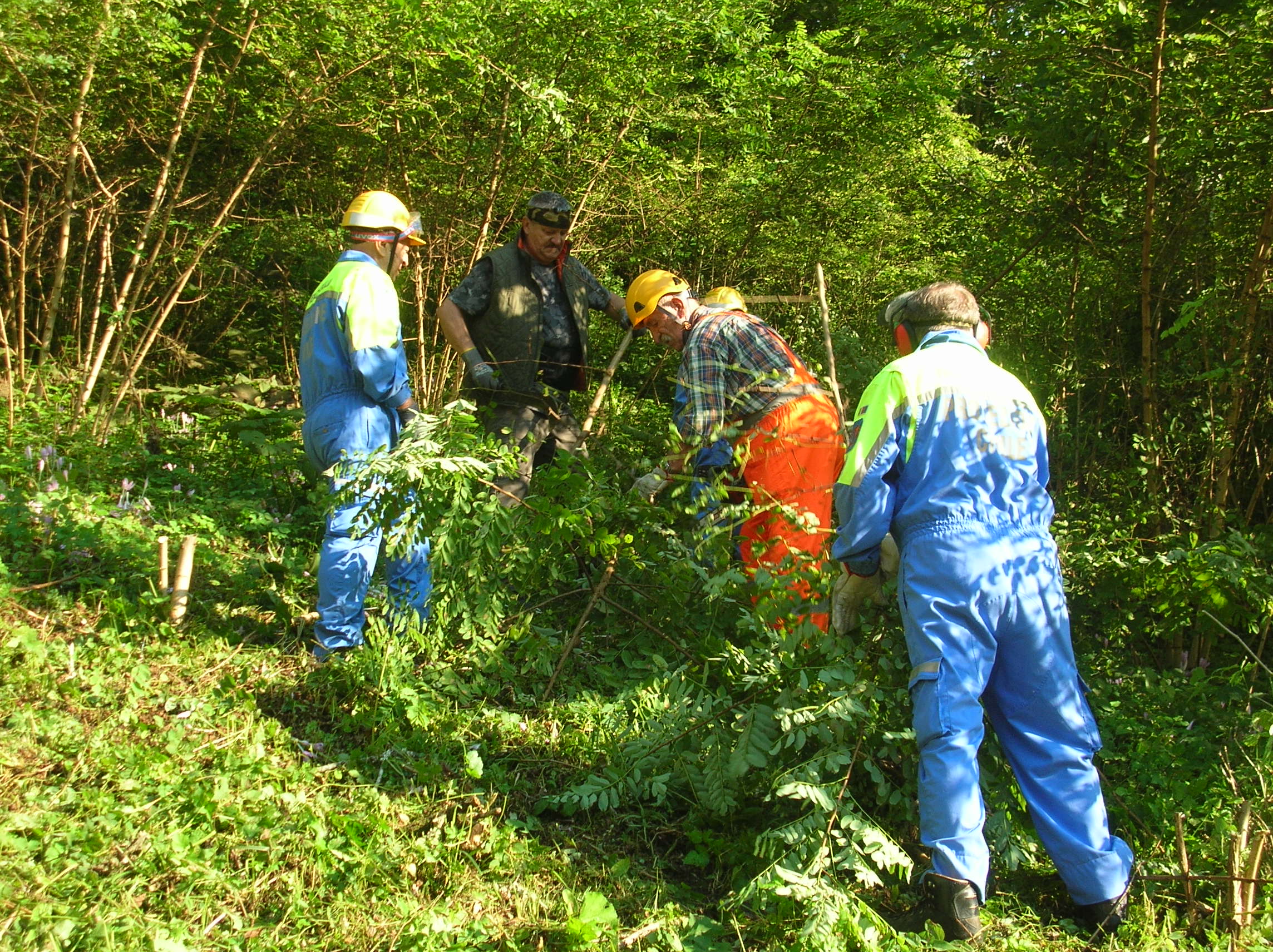 Foto 04.jpg