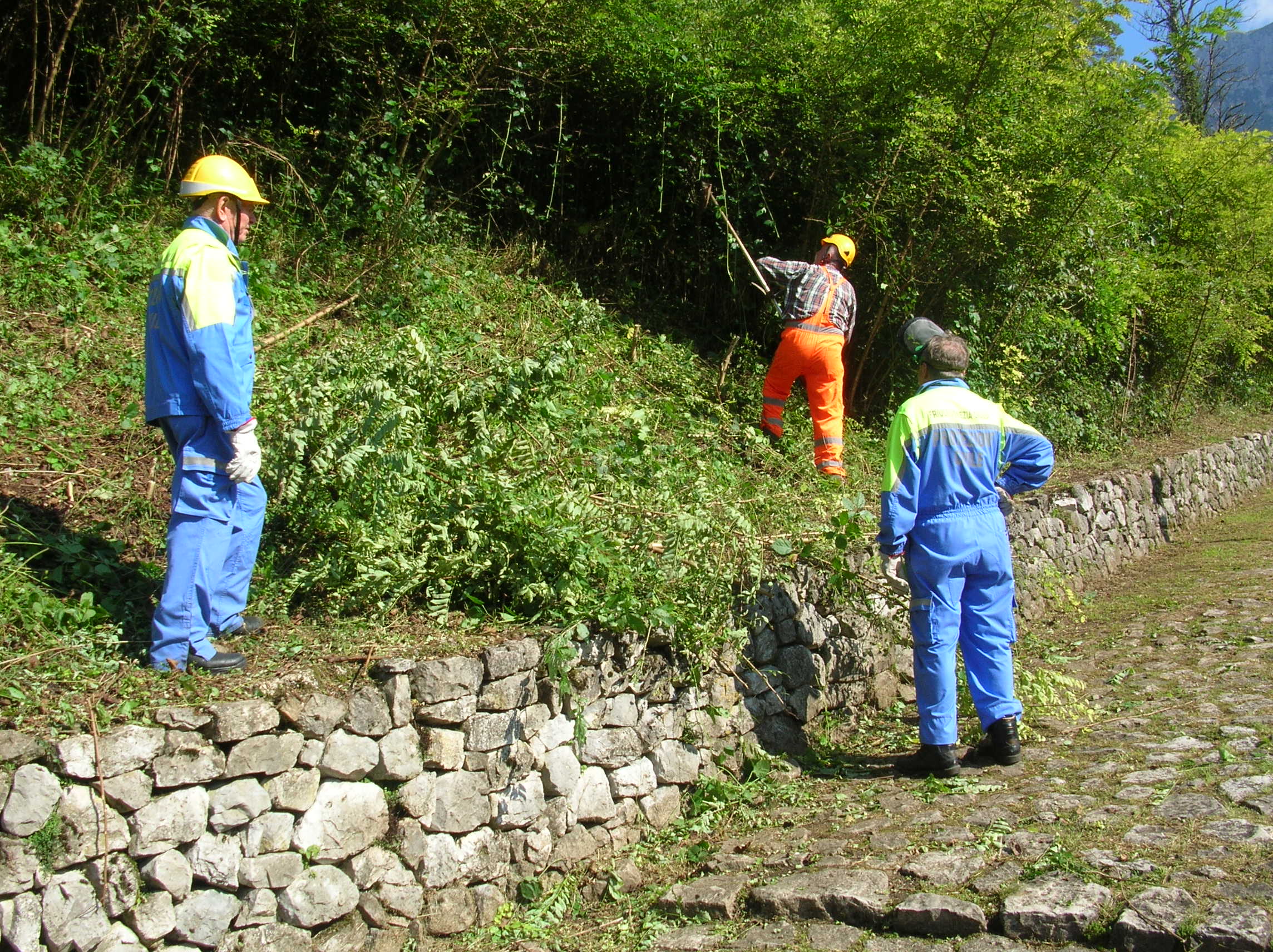 Foto 04.jpg